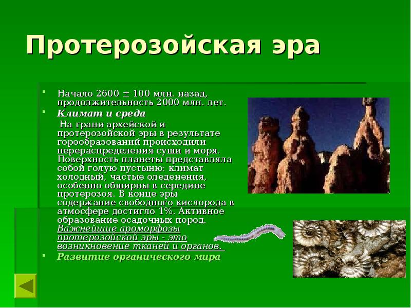 Краткая история развития органического мира презентация