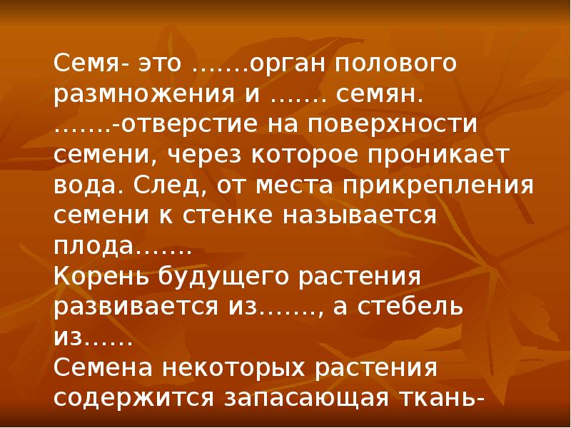 Как называется след на месте прикрепления семени к стенке плода