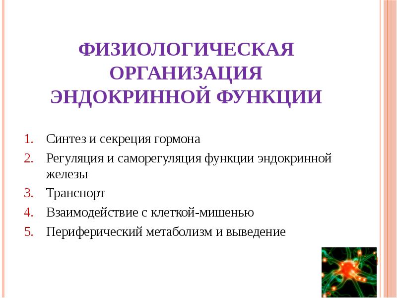 Физиологическая организация эндокринной функции
Синтез и секреция гормона
Регуляция и саморегуляция Физиологическая организация эндокринной функции
Синтез и секреция гормона
Регуляция и саморегуляция