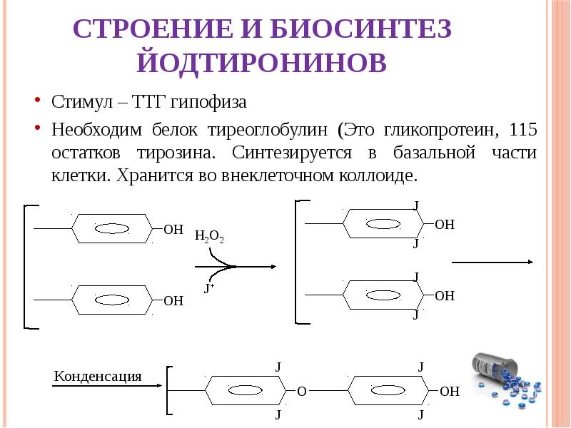 Синтез йодтиронинов схема