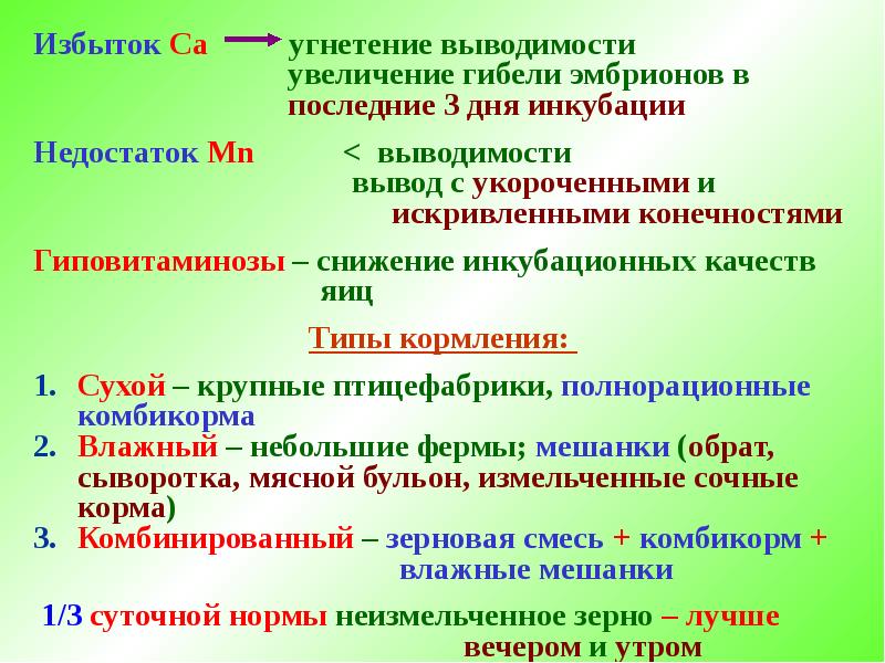 Биологические особенности птиц