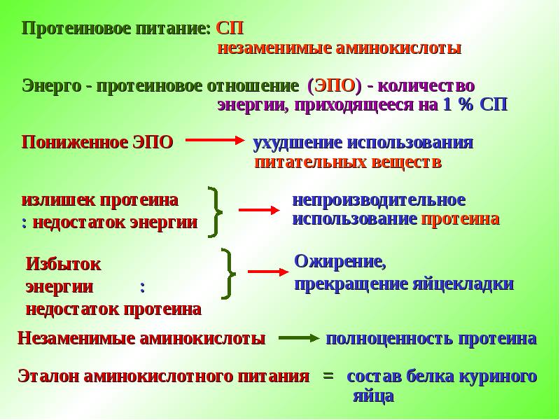 Биологические особенности современные. Виды протеинового отношения. Протеиновое отношение формула. Энерго-протеиновое отношение это. Сахаро-протеиновое отношение.