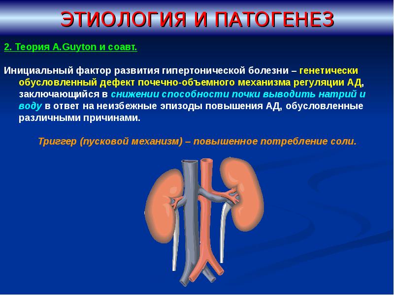 Почечная гипертония презентация