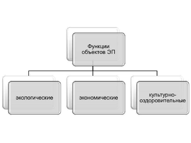 Право на природные объекты. Функции объектов экологического права. Функции природного объекта. Экологическая функция природных объектов. Функции природных объектов в экологическом праве.