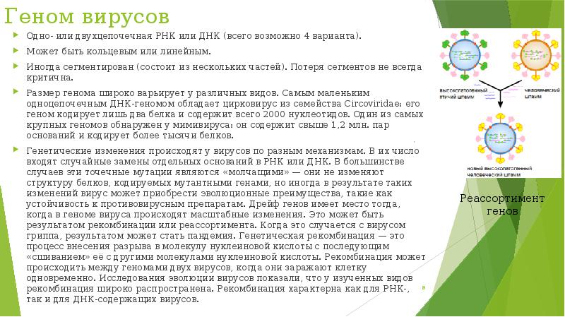 Типы вирусных рнк. Двухцепочечная рнк вирусов. вирусы с двухцепочечной днк. рнк одноцепочечная или двухцепочечная. вирусный геном сборная таблица.