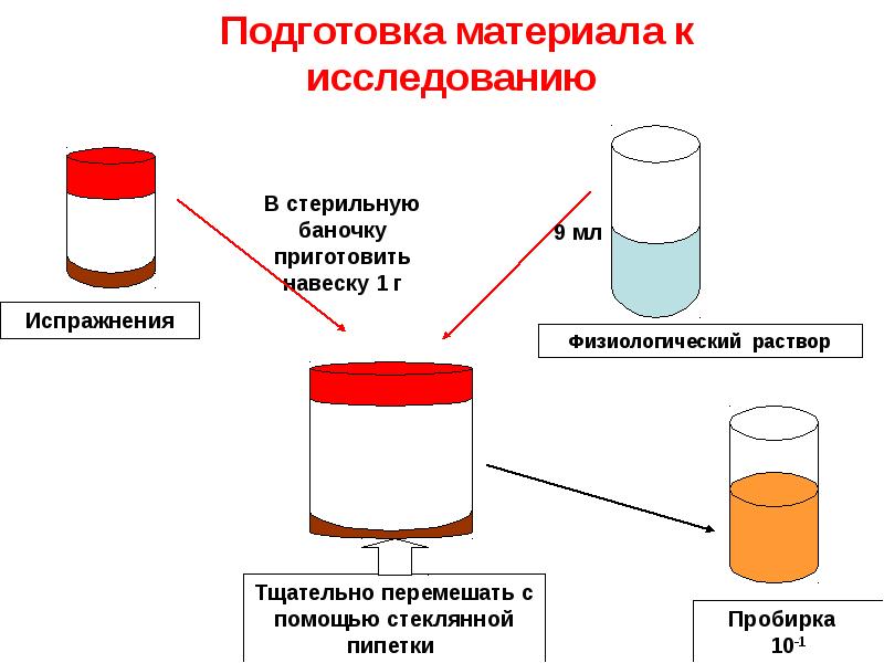 Схема посева дисбактериоза