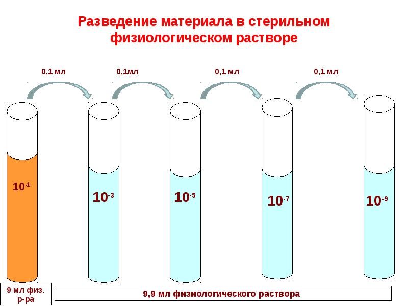 Схема посева дисбактериоза