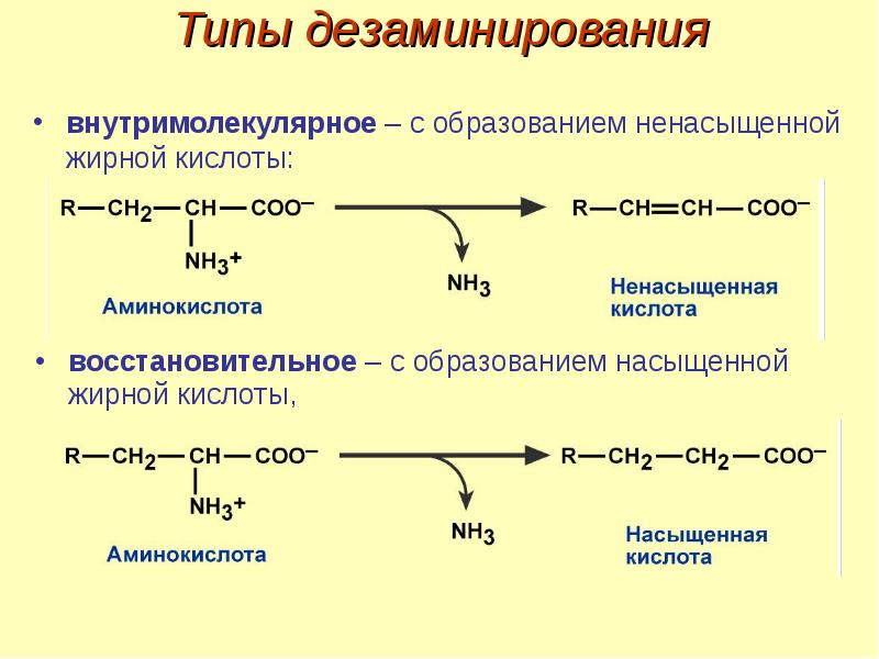 Кислоты образуются в результате превращений. Дезаминирование аспарагиновой. Дезаминирование аспарагиновой кислоты. Внутримолекулярное дезаминирование аминокислот. Дезаминирование ацетамида.