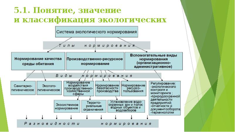 Система стандартов охрана природы презентация