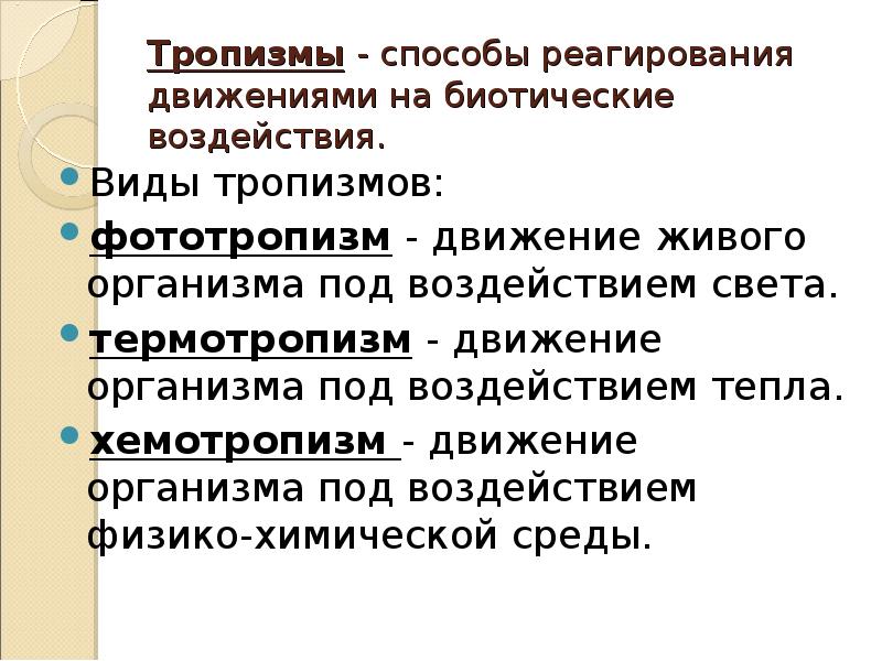 Фототропизм. Виды тропизмов. Виды тропизмов у растений. Тропизмы. Тропизмы это в биологии.