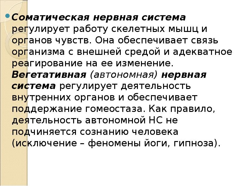 Автономная нервная система регулирует работу скелетных мышц. Работу скелетных мышц регулирует.