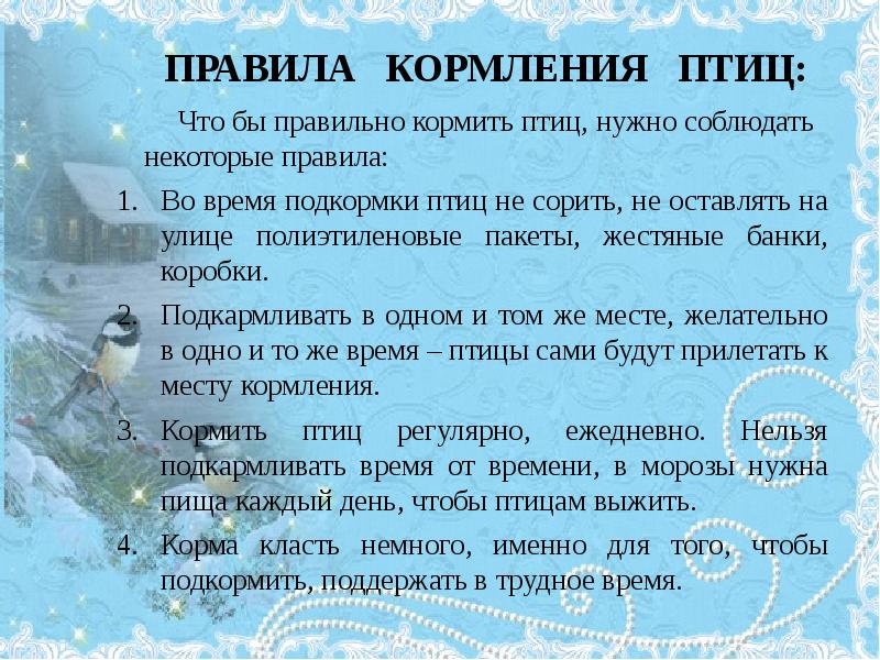 Что можно птицам в кормушку зимой. Правила кормления зимующих птиц. Правила кормления птиц зимой. Правила кормления птиц зимой для детей. Как правильно подкармливать птиц зимой.