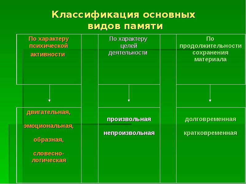 Память виды презентация