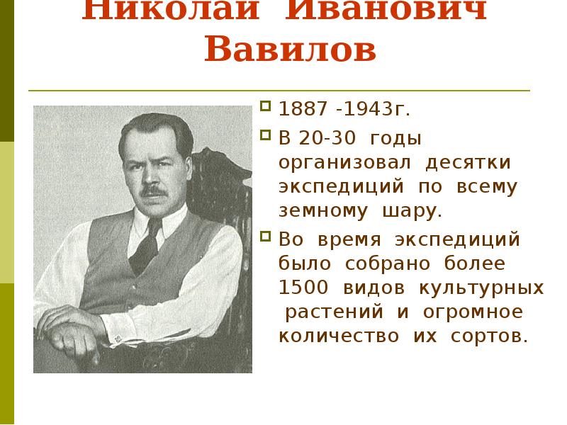 Презентация о вавилове николае ивановиче