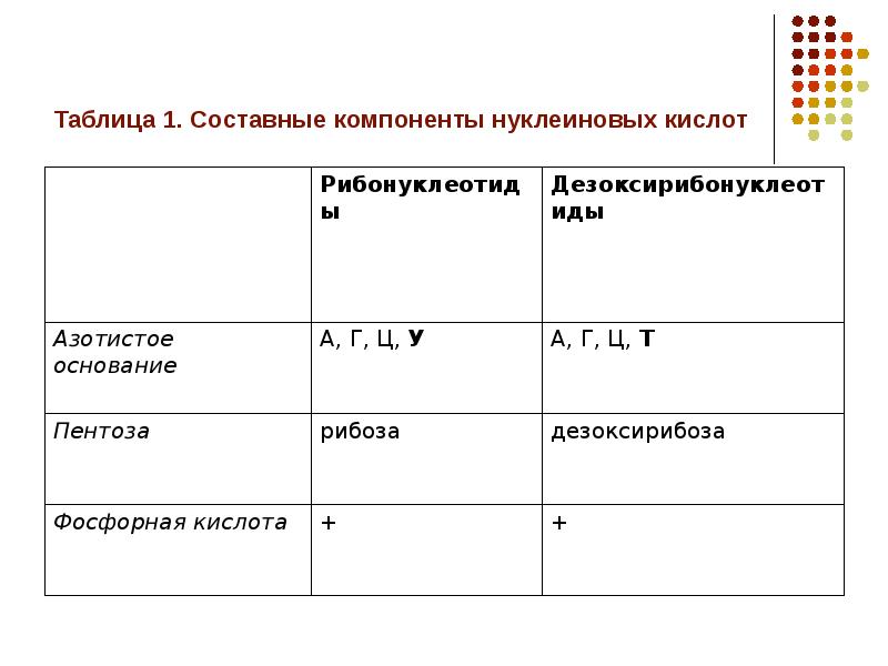 Белки и нуклеиновые кислоты. Строение и функции нуклеиновых кислот таблица. Белки и нуклеиновые кислоты таблица. Сравнительная характеристика белков и нуклеиновых кислот. Сравнительная таблица белки и нуклеиновые кислоты.