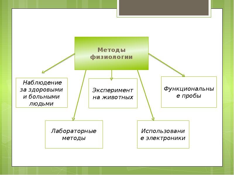 Схемы по физиологии человека