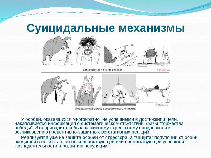 Психология стресса презентация по психологии