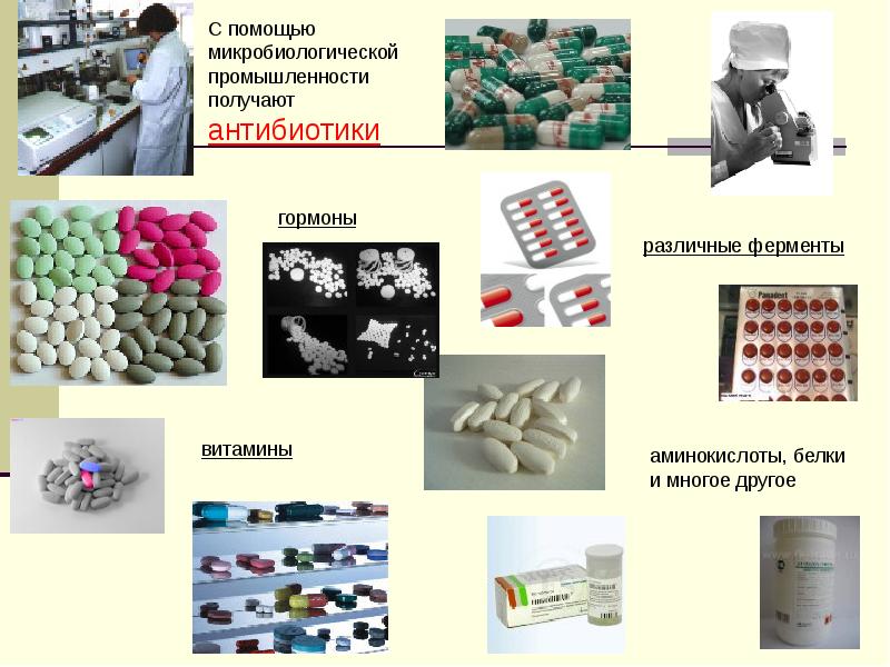 Микробиологическая технология презентация