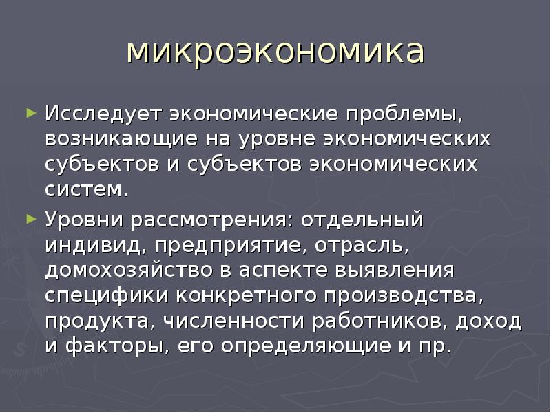 Презентация уровни экономики