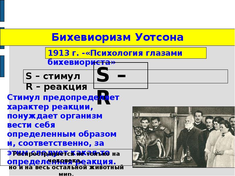 Бихевиоризм скиннера презентация