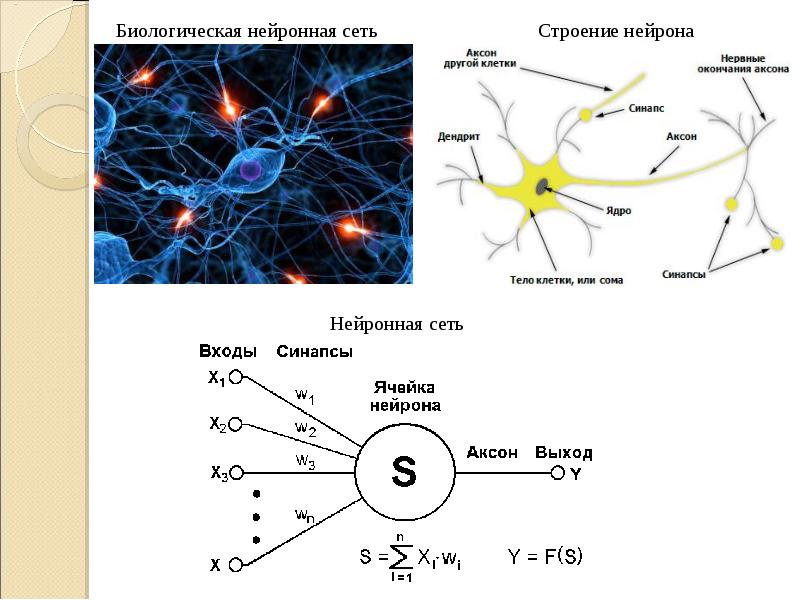Сколько элементов в нейросети. Синапс в нейронных сетях это. Схема работы искусственной нейронной сети. Нейросеть Нейроны. Искусственный Нейрон электрическая схема.