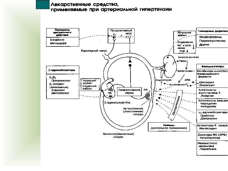 Презентация антигипертензивные препараты фармакология