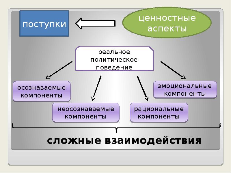 Политическое поведение презентация 11