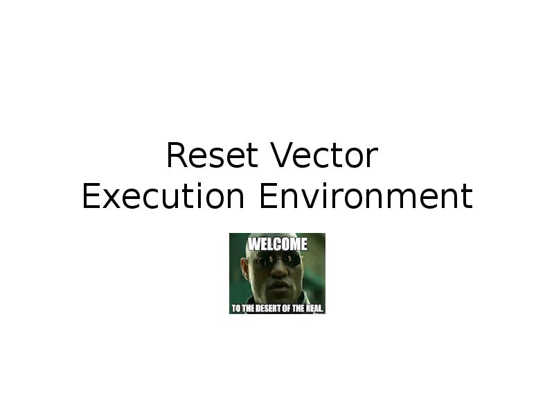 Reset Vector  Execution Environment