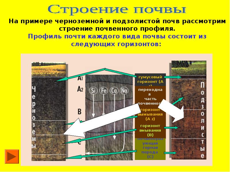 Презентация 8 класс блок россия презентация