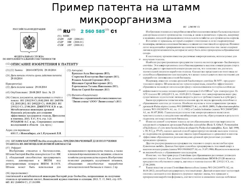 Описание изобретения к патенту образец