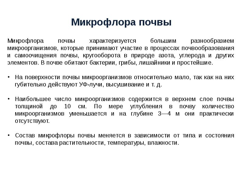 Микрофлора почвы микробиология презентация