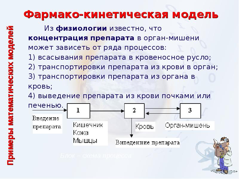 Биологическое моделирование презентация