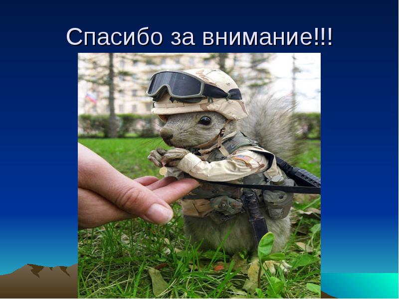 Спасибо за внимание!!!