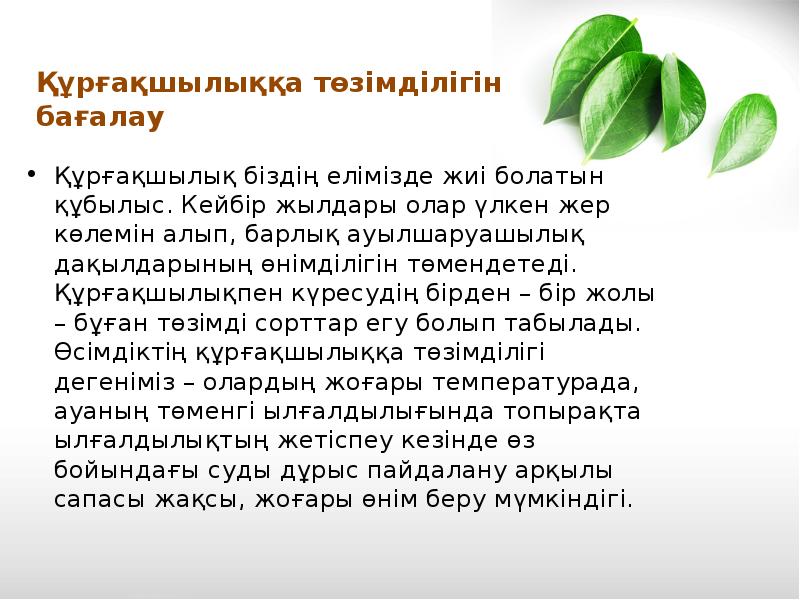 Өсімдіктердің қолайсыз жағдайларға төзімділігі презентация