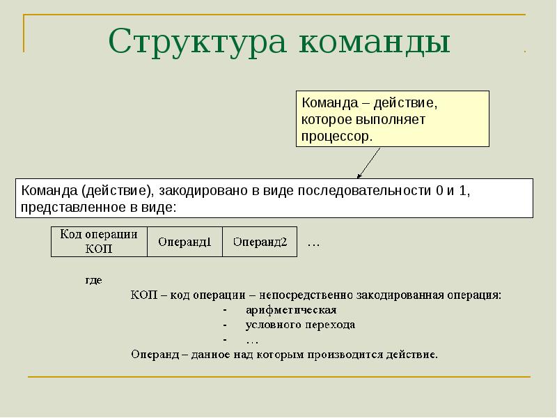 Структура команды. Структура команды процессора. Структура команды доклад. Структура процессора и выполнение команд.. Структура командных процессоров.