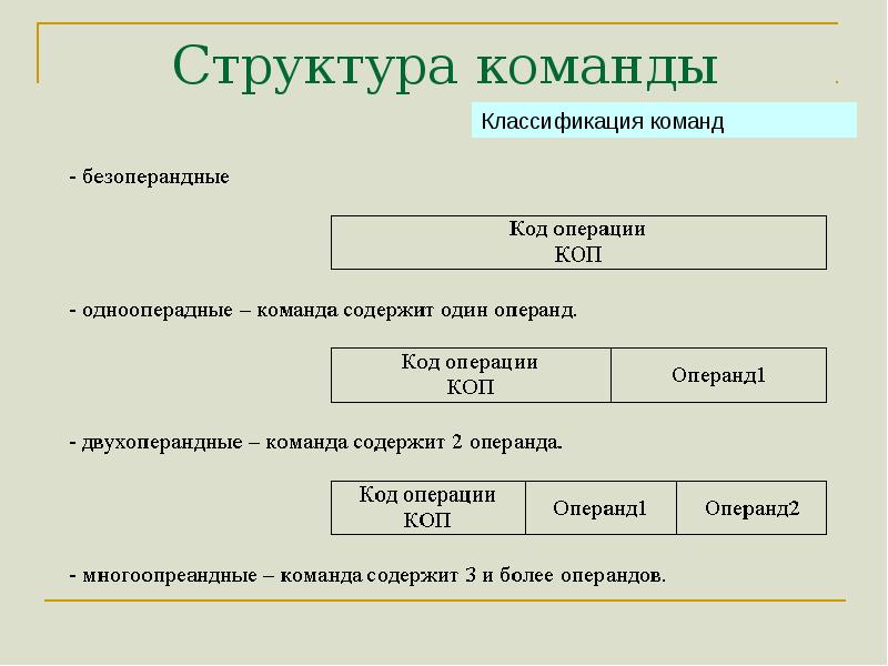 Структура команды