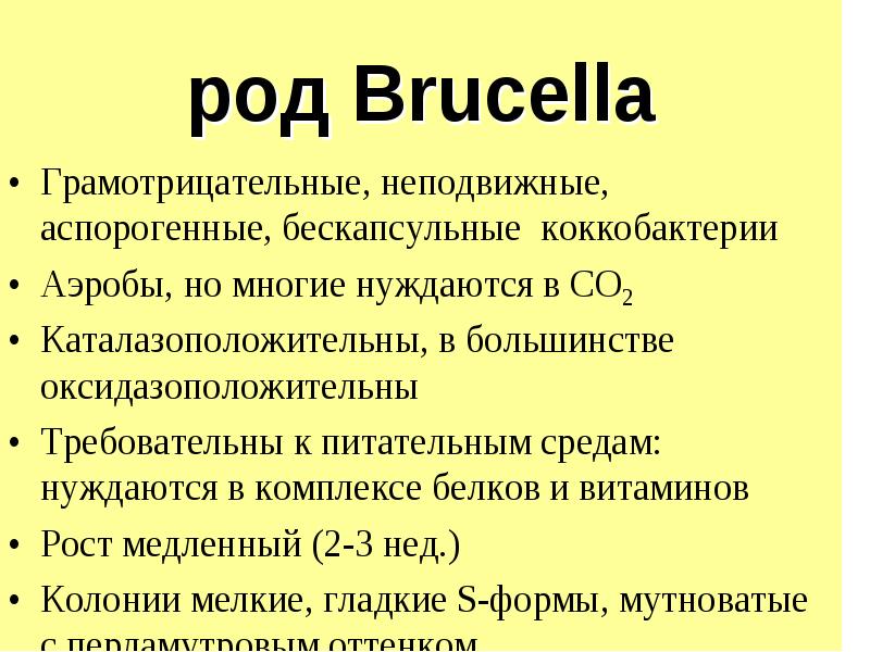 Возбудители чумы туляремии. Возбудитель чумы туляремии сибирской язвы. Возбудитель бруцеллеза сибирской язвы. Сибирская язва туляремия чума бруцеллез. Презентация профилактика зооантропонозов: Сибирская язва.