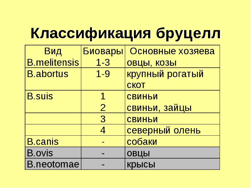 Возбудители чумы туляремии