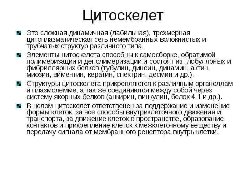 Цитоскелет двумембранный органоид. Промежуточные филаменты строение. Филаменты цитоскелета функции. Цитоскелет клетки. Цитоскелет движение.