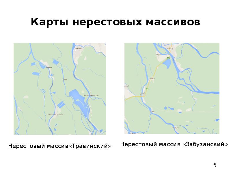 Карта нерестовых участков брянской области