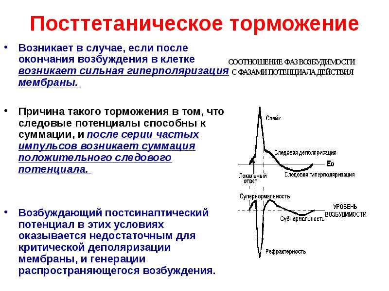 Уровни возбудимости