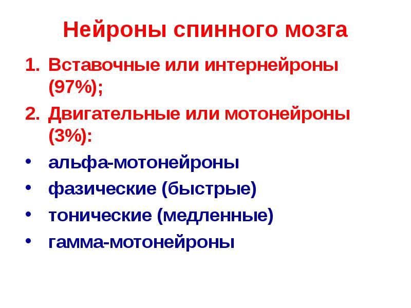 Нейроны спинного мозга. Классификация нейронов спинного мозга.