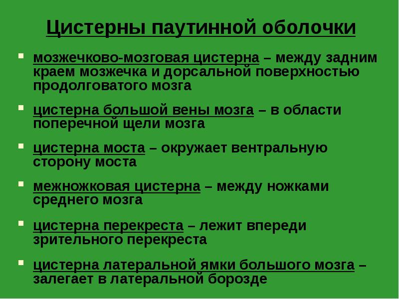 Мозжечково мозговая цистерна