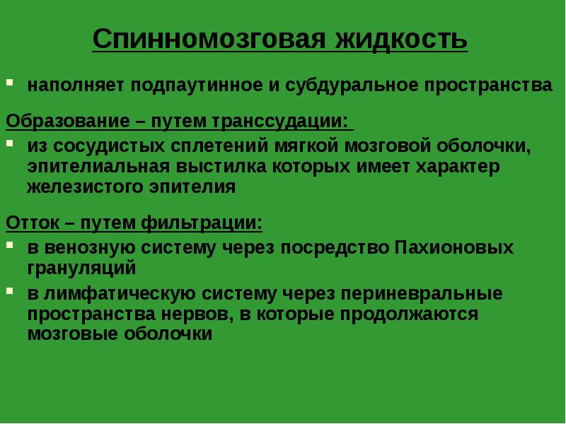 пути циркуляции ликвора. схема циркуляции спинномозговой жидкости. циркуляция спинномозговой жидкости в головном мозге. спинномозговая жидкость оттекает в подпаутинное пространство. спинномозговая жидкость оттекает в подпаутинное пространство.