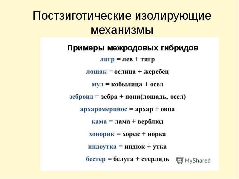 Презентация изолирующие механизмы 9 класс презентация