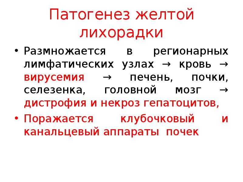 Период желтой лихорадки. Желтая лихорадка патогенез. Этиология лихорадки. Желтая лихорадка эпидемиология. Периоды желтой лихорадки.