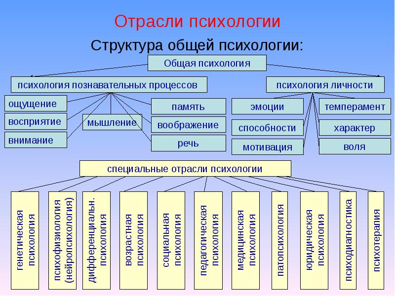 Отрасли психологии
Структура общей психологии: Отрасли психологии
Структура общей психологии: