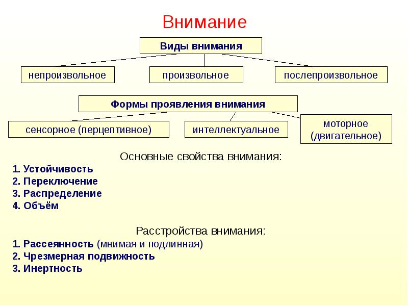 Внимание Внимание