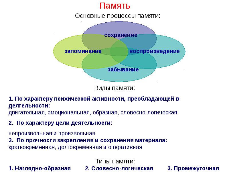 Память Память