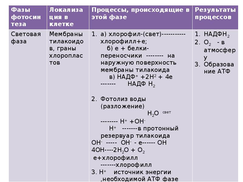 Расходуется атф фаза. Хемосинтез таблица 10 класс. Этапы хемосинтеза таблица. Типы клеточного питания фотосинтез и хемосинтез 10. Фазы фотосинтеза таблица.